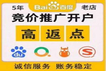 成功案例：竞价推广助力企业实现品牌多元化